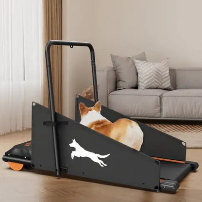 Dog Treadmill