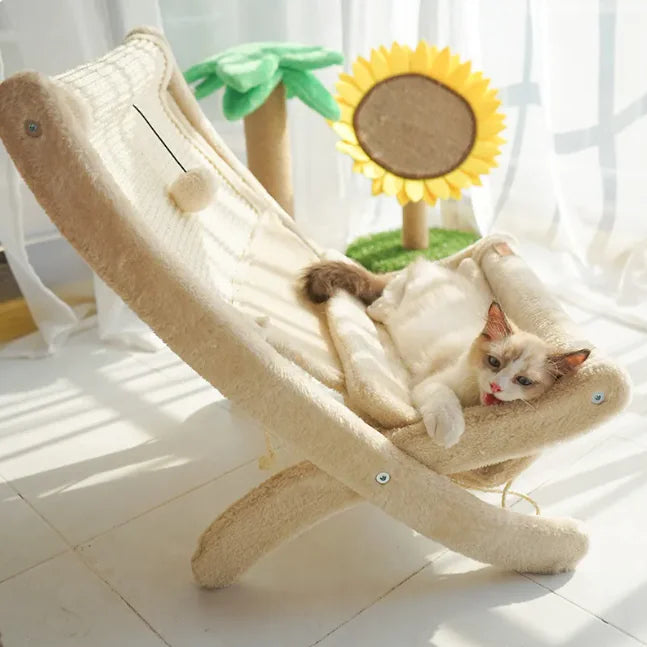 "Transform Your Cat’s Comfort and Happiness"