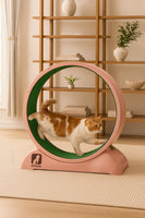 Cat Exercise Wheel