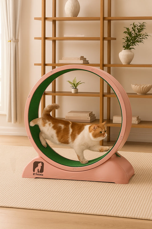 Cat Exercise Wheel