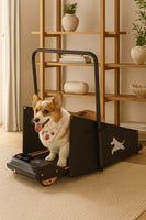 Dog Treadmill